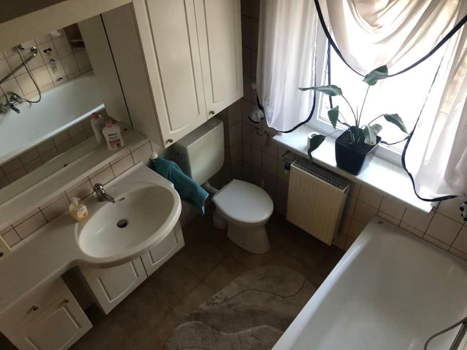 Ferienwohnung In Golssen/Spreewald, Tropical Island Kültér fotó